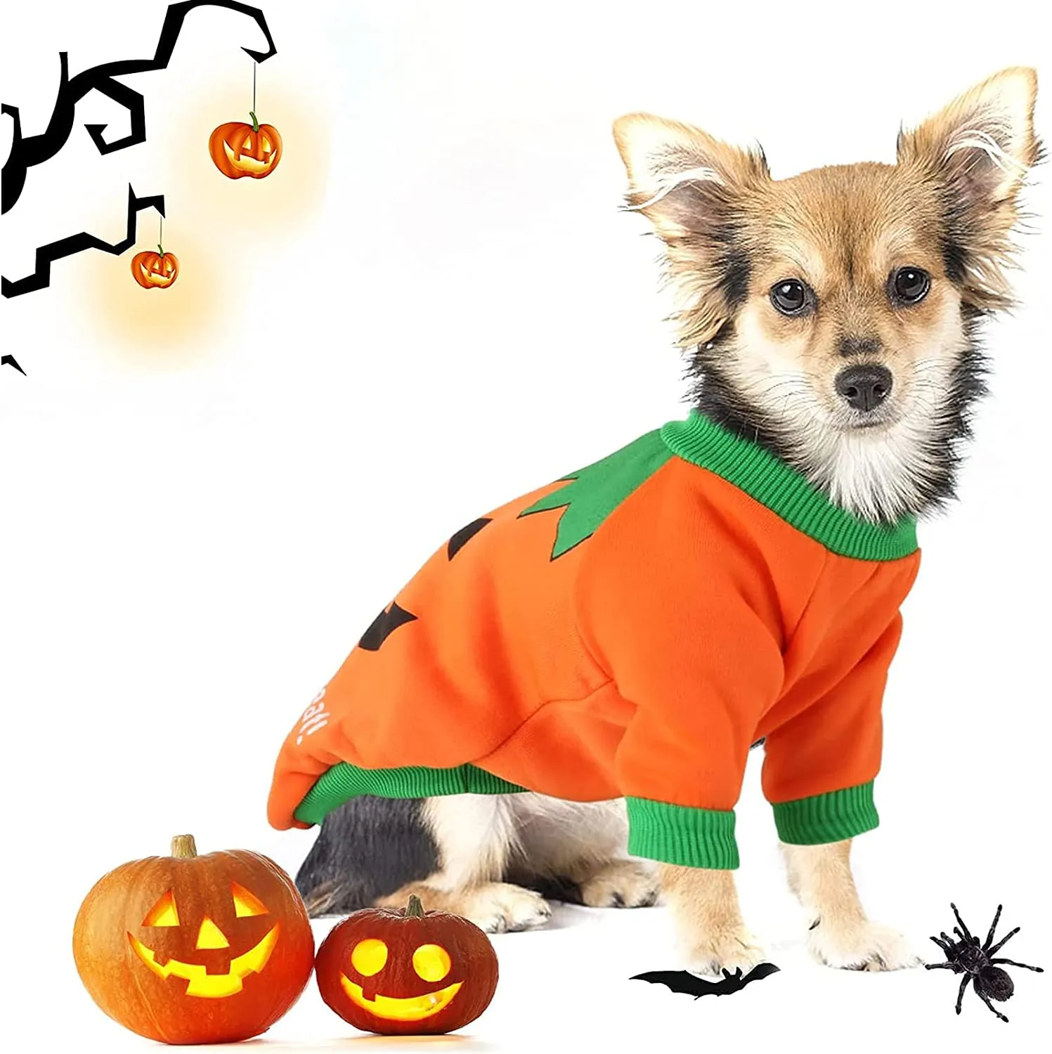 Cane Costume di Halloween,costumi per animali domestici con pipistrello di halloween Felpa,per cani di taglia piccola e media Cu